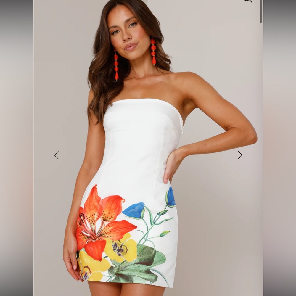 SOLD Runaway the label dress